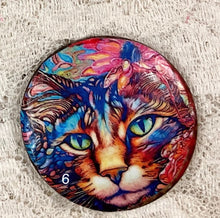 Load image into Gallery viewer, 1.5” Button-Colorful Cats- assorted - Great Adirondack Yarn -price per button