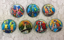 Load image into Gallery viewer, 1.18” Buttons-Colorful Parrots- assorteds- Handcrafted -Great Adirondack-price is per button