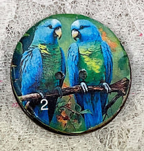 Load image into Gallery viewer, 1.18” Buttons-Colorful Parrots- assorteds- Handcrafted -Great Adirondack-price is per button