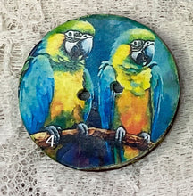 Load image into Gallery viewer, 1.18” Buttons-Colorful Parrots- assorteds- Handcrafted -Great Adirondack-price is per button