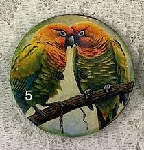 Load image into Gallery viewer, 1.18” Buttons-Colorful Parrots- assorteds- Handcrafted -Great Adirondack-price is per button