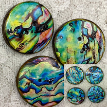 Load image into Gallery viewer, 1.18” Abalone-Paui shell prints -assorted- embellishment- clothing- accents-trim -mixed media -great adirondack-price is per button.