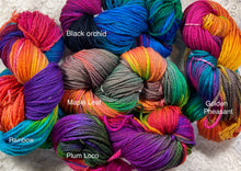 Load image into Gallery viewer, Worsted Merino Superwash -210 yds-hand dyed Yarn- 5 assorted colors-CLOSEOUT