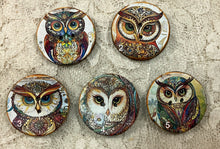 Load image into Gallery viewer, 1.18” Buttons- Owls-artistic-assorted-Great Adirondack-handcrafted-price is per button
