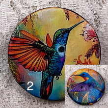 Load image into Gallery viewer, 1.18” hummingbird prints -assorted- embellishment- clothing- accents-trim -mixed media -great adirondack-price is per button.