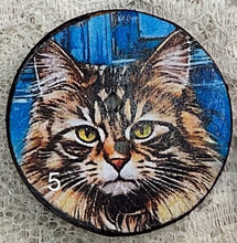 Load image into Gallery viewer, 1.18” buttons-Sleeping Cats -Fluffy cats-calico cats-assorted-Great Adirondack-handcrafted-price is per button