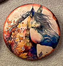 Load image into Gallery viewer, 2”  Pin-Brooch- Horses-Rainbow-assorted-Great Adirondack Yarn