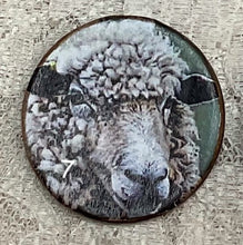Load image into Gallery viewer, 1.18” Sheep buttons- assorted-Great Adirondack-handcrafted-price is per button
