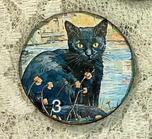 Load image into Gallery viewer, 1.18” Buttons- Black cats-Van Gogh style - assorted- Handcrafted -price is per button
