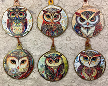 Load image into Gallery viewer, 3” ornaments- Owls- assorted- zen doodles-holiday-Christmas-gift-price per ornament
