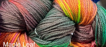 Load image into Gallery viewer, Worsted Merino Superwash -hand dyed Yarn- 5 assorted colors-Great Adirondack
