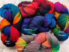 Load image into Gallery viewer, Silk merino fingering wt yarn -440 yds -5 assorted colors- Great Adirondack
