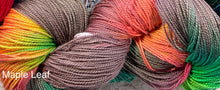 Load image into Gallery viewer, Silk merino fingering wt yarn -440 yds -5 assorted colors- Great Adirondack
