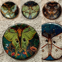 Load image into Gallery viewer, 1.18” Buttons- Luna Moths- assorted-Great Adirondack-handcrafted-price is per button
