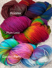 Load image into Gallery viewer, Sock Yarn Merino Superwash and nylon 450 yds -Colors-Rooster-Plum Loco-Garden Party
