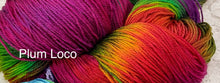 Load image into Gallery viewer, Sock Yarn Merino Superwash and nylon 450 yds -Colors-Rooster-Plum Loco-Garden Party
